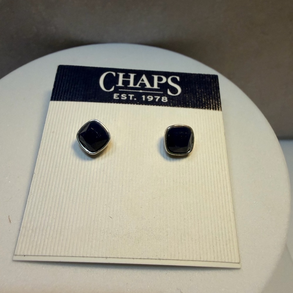 🩷5/$10 Chaps Silver and Blue  Stud Earrings